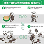 Cockroach Killer Gel | 🔥FLAT 50% OFF SAVING🔥